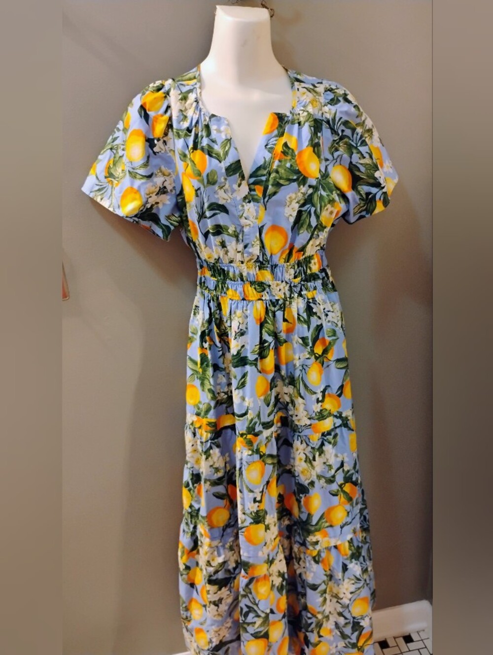 Women's Anthropologie Somerset Small Blue lemon Tier Maxi Dress  Flutter Sleeve